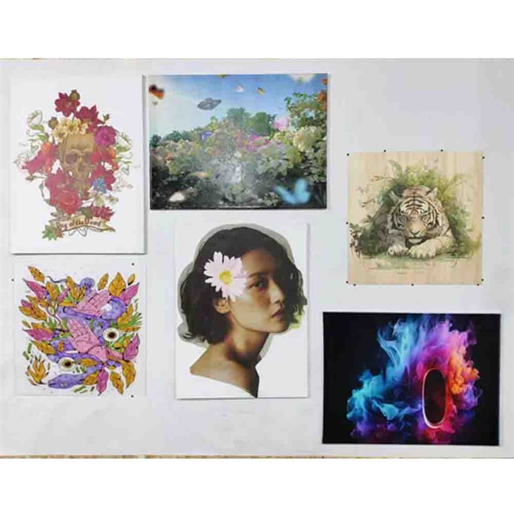 Wall Printing Materials